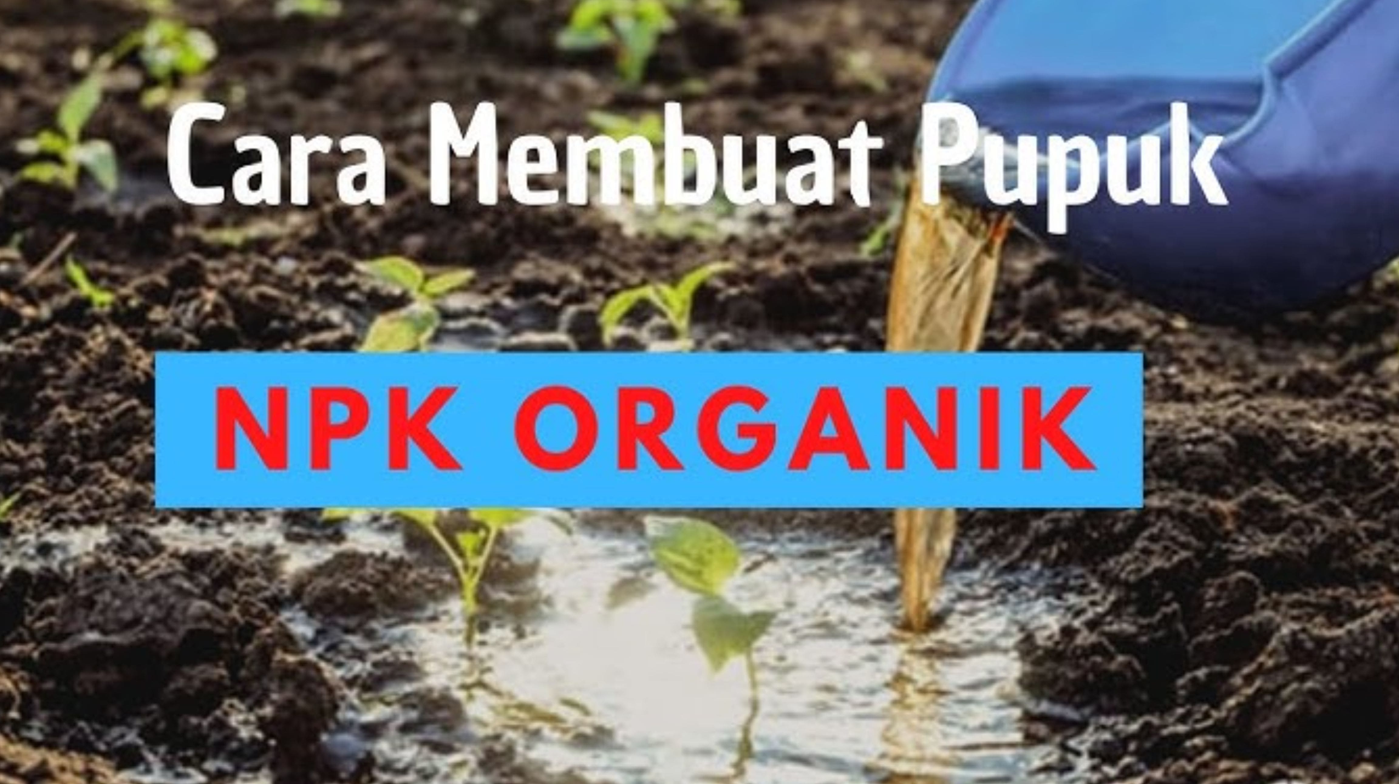 Mau Buat Pupuk NPK Cair Organik Sendiri? Berikut 5 Langkah Membuat dan Bahannya- Tangkap Layar